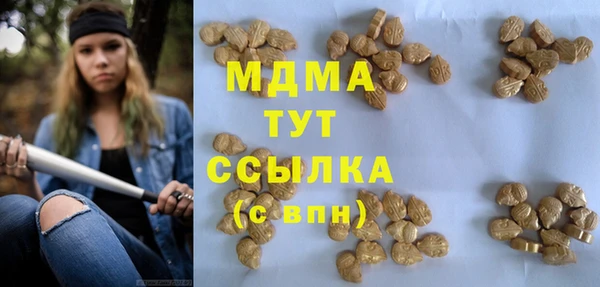 mdpv Богданович