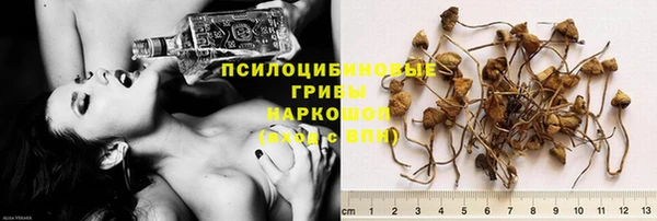 MDMA Бородино