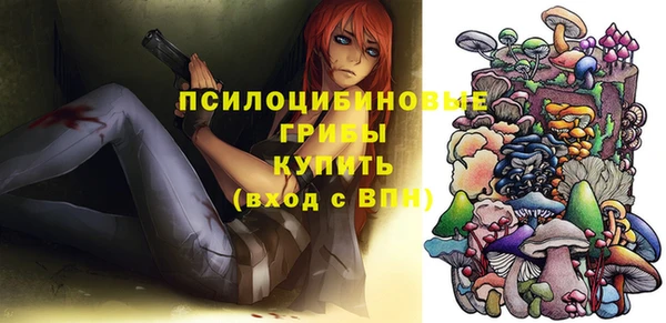 mdpv Богданович