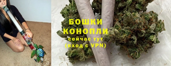 mdpv Богданович