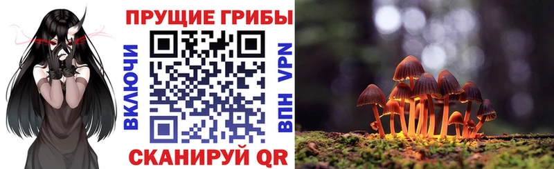 Псилоцибиновые грибы MAGIC MUSHROOMS  где продают наркотики  Торжок 